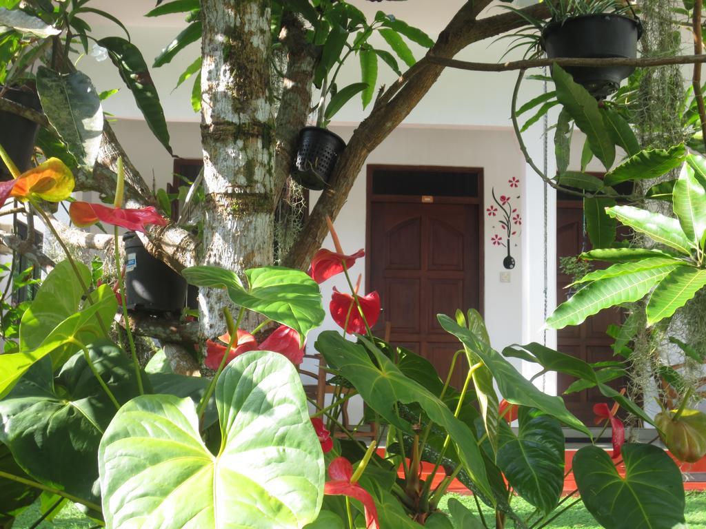 Jungle Holiday Home Hikkaduwa Exterior foto